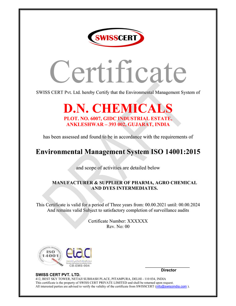 D N Chemicals Ankleshwar